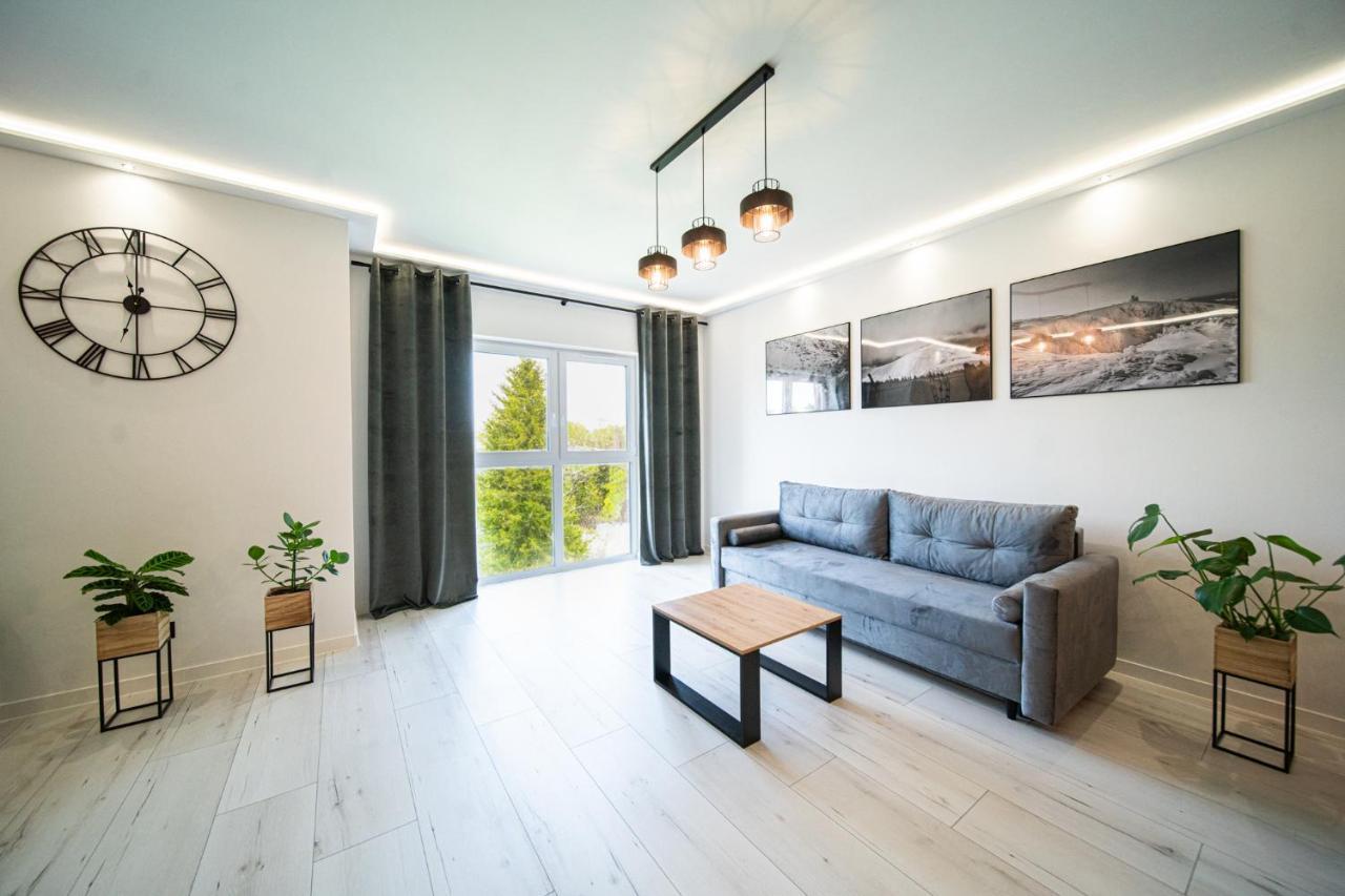 Апартаменти Apartament Duzy Staw Єленя-Ґура Екстер'єр фото